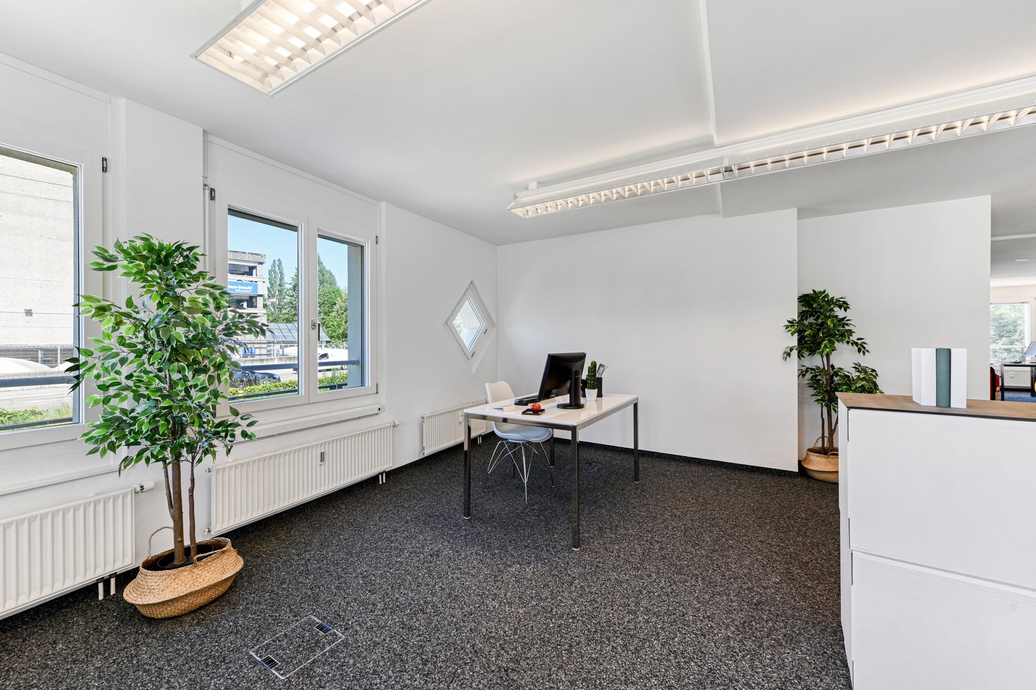 247m² office