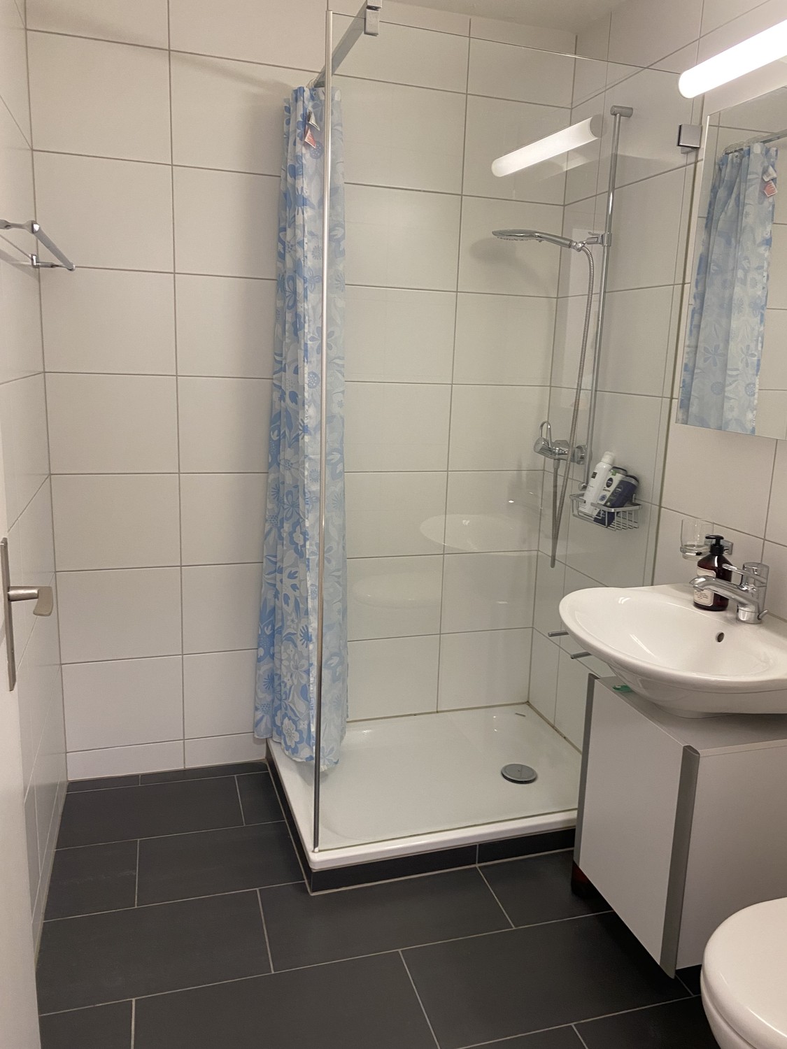 Appartement de 1 ½ pièces