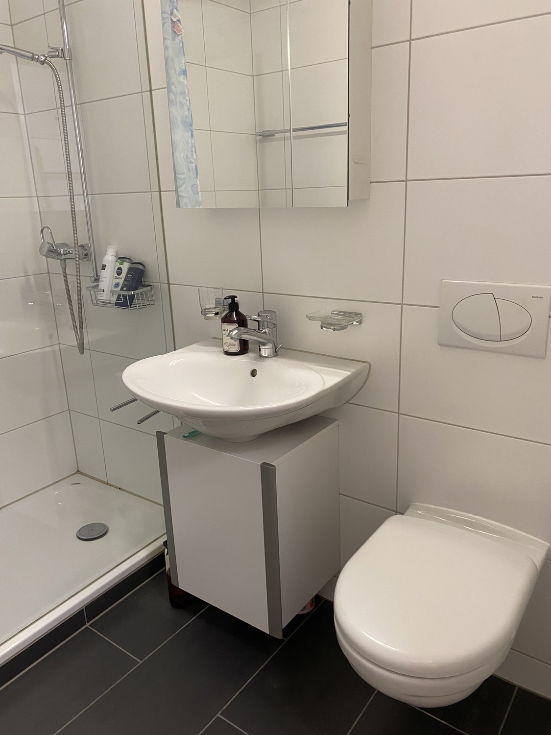 Appartement de 1 ½ pièces