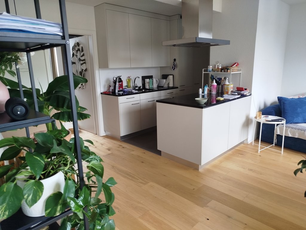 Appartement de 2 ½ pièces