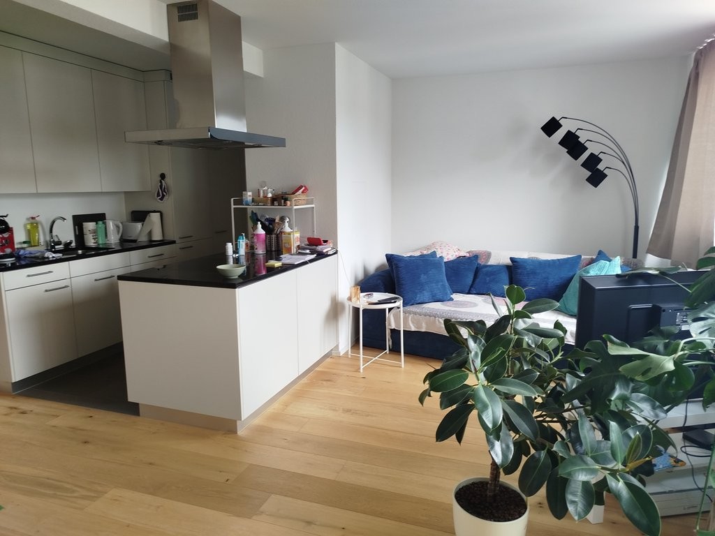 Appartement de 2 ½ pièces