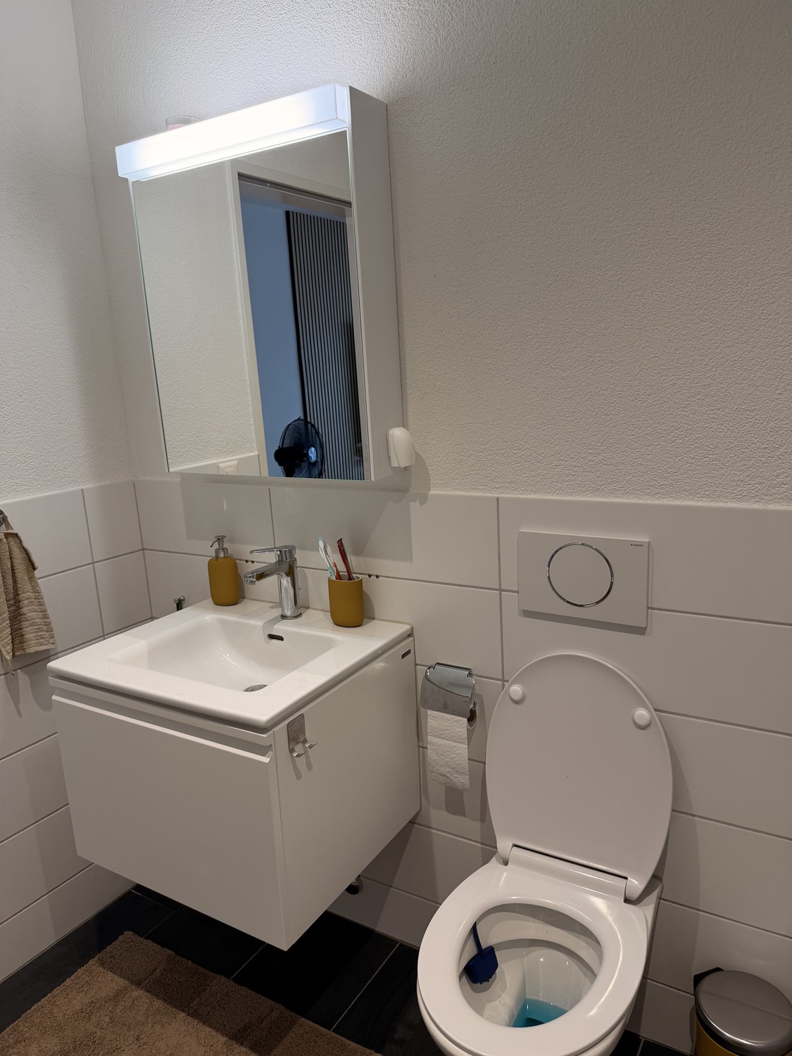 2 ½ rooms apartment