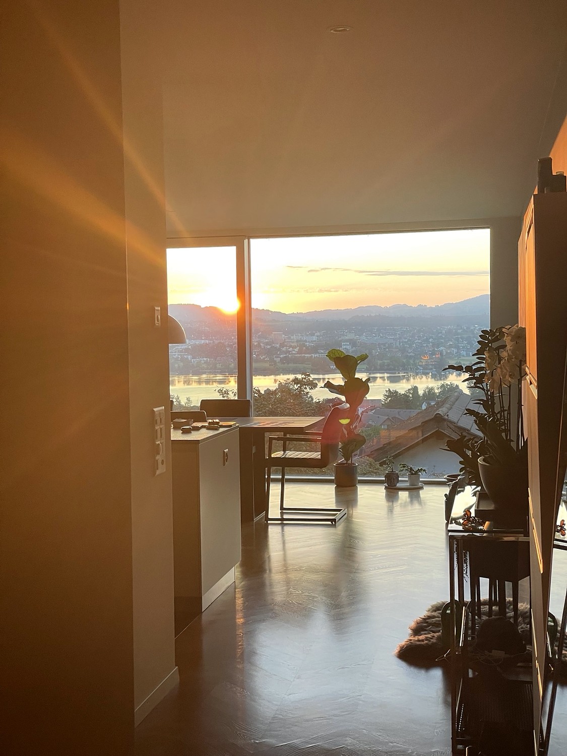 3 ½ Zimmer-Wohnung