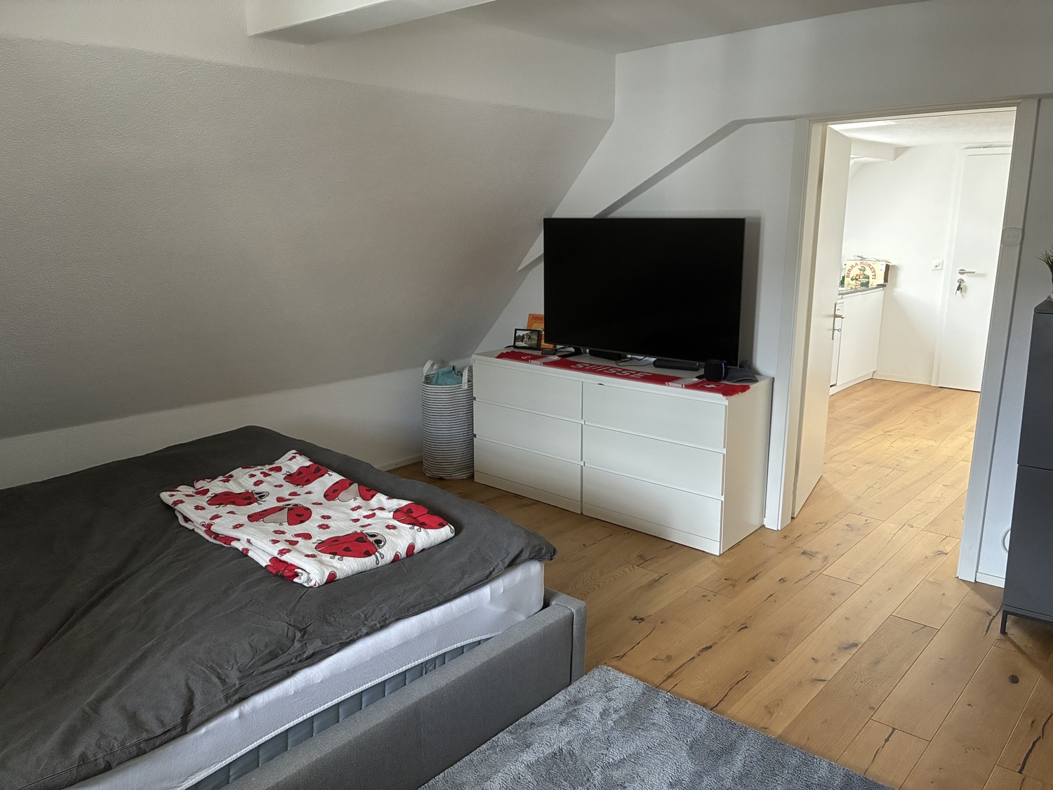 Appartement de 1 ½ pièces