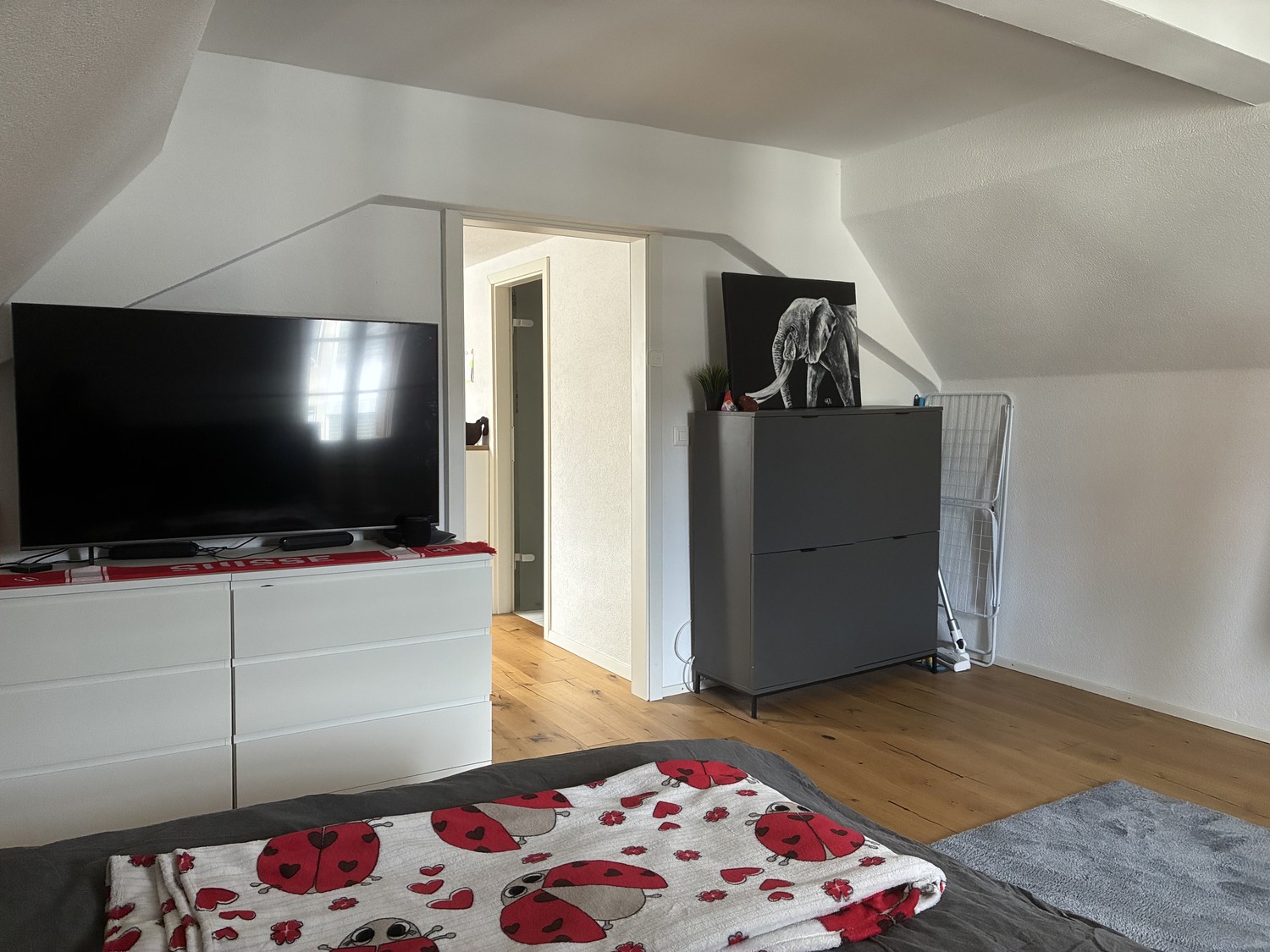 Appartement de 1 ½ pièces