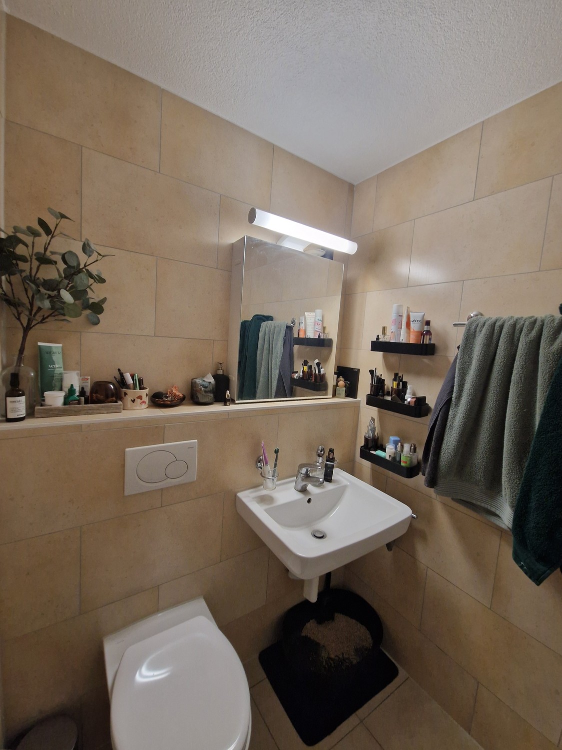 2 ½ Zimmer Wohnung