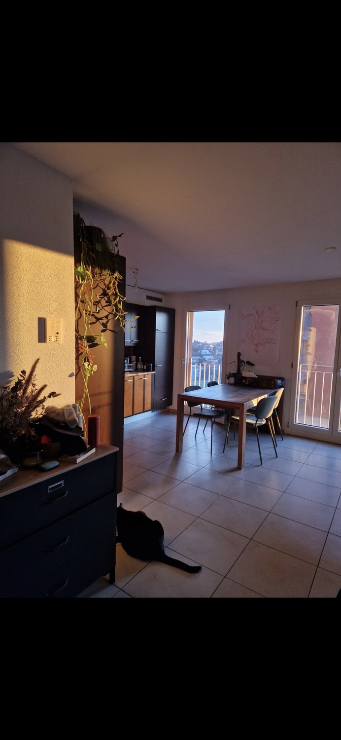 2 ½ Zimmer Wohnung