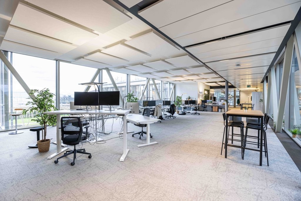 559m² office