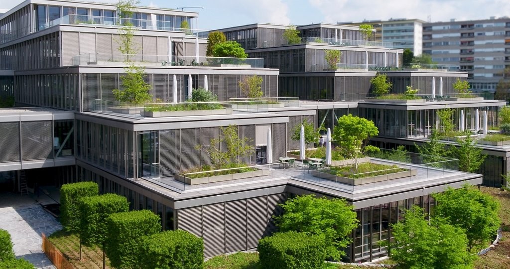 559m² office