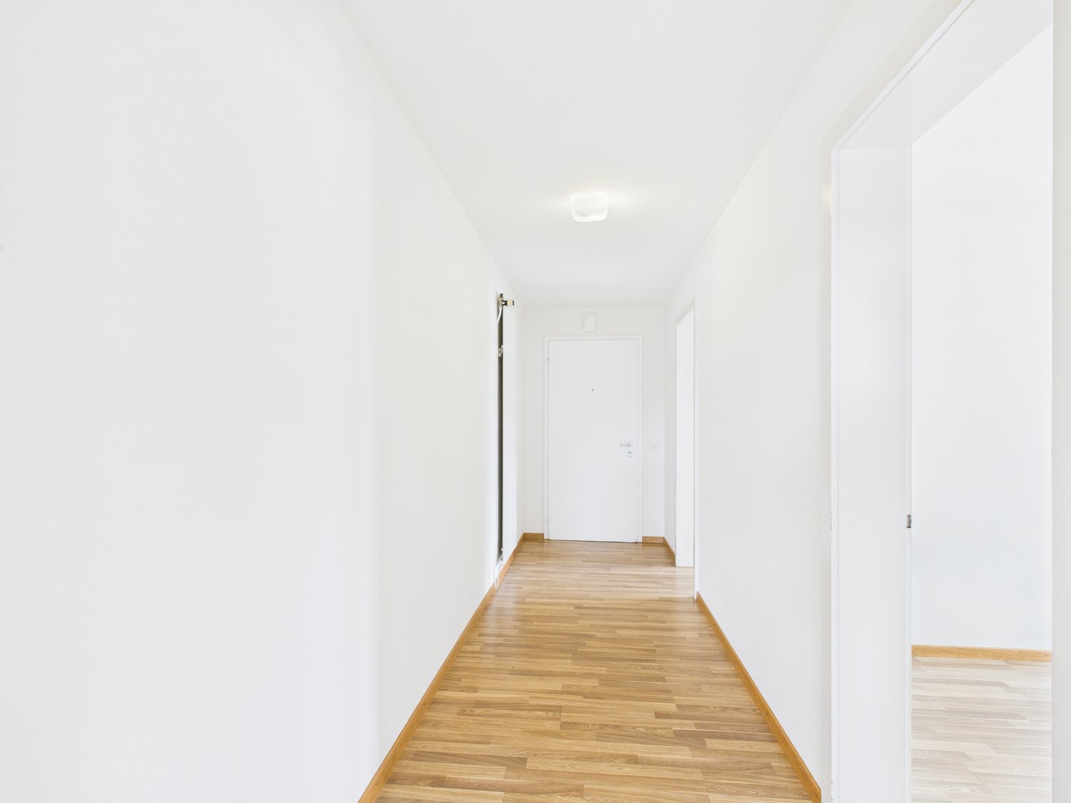 Appartamento di 4 ½ locali