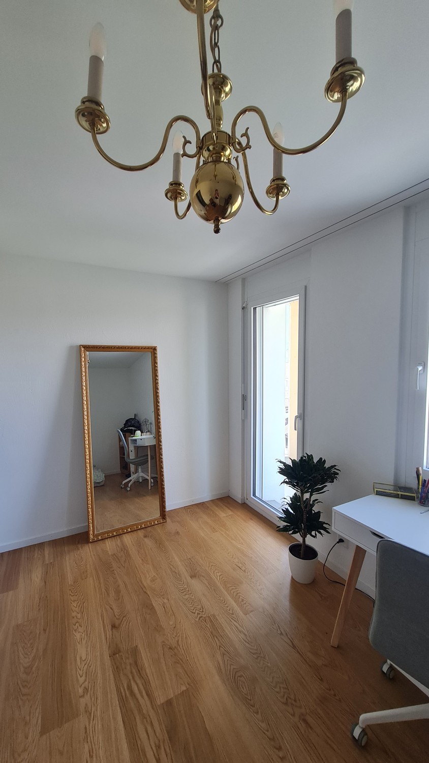 Room in a shared flat