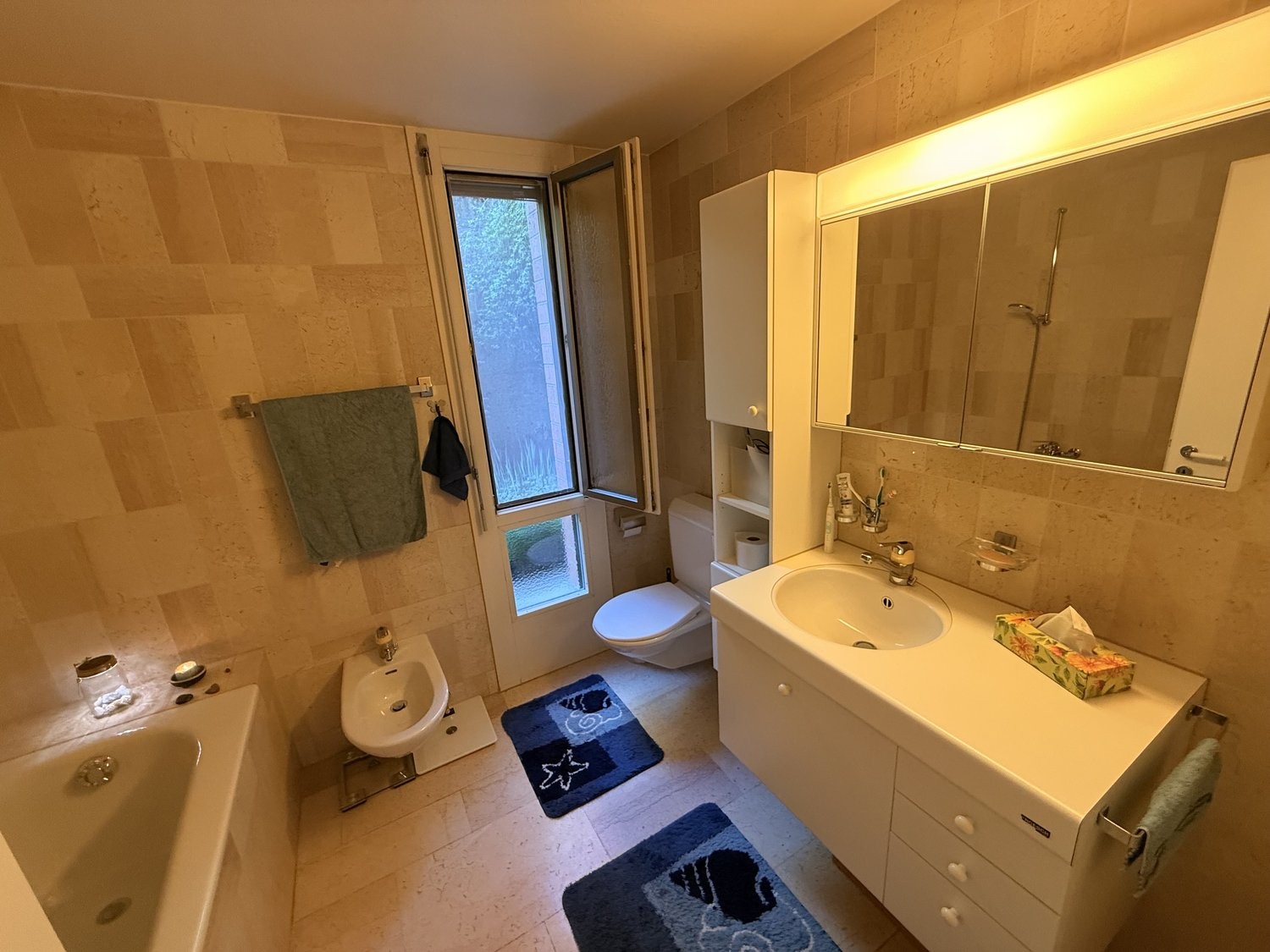 4 ½ rooms furnished flat