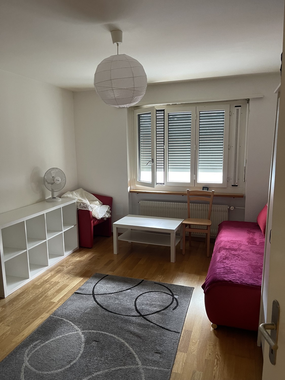 Room in a shared flat