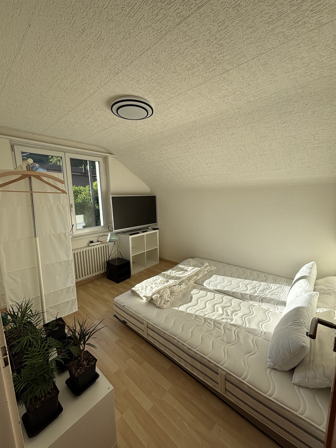 Chambre en colocation