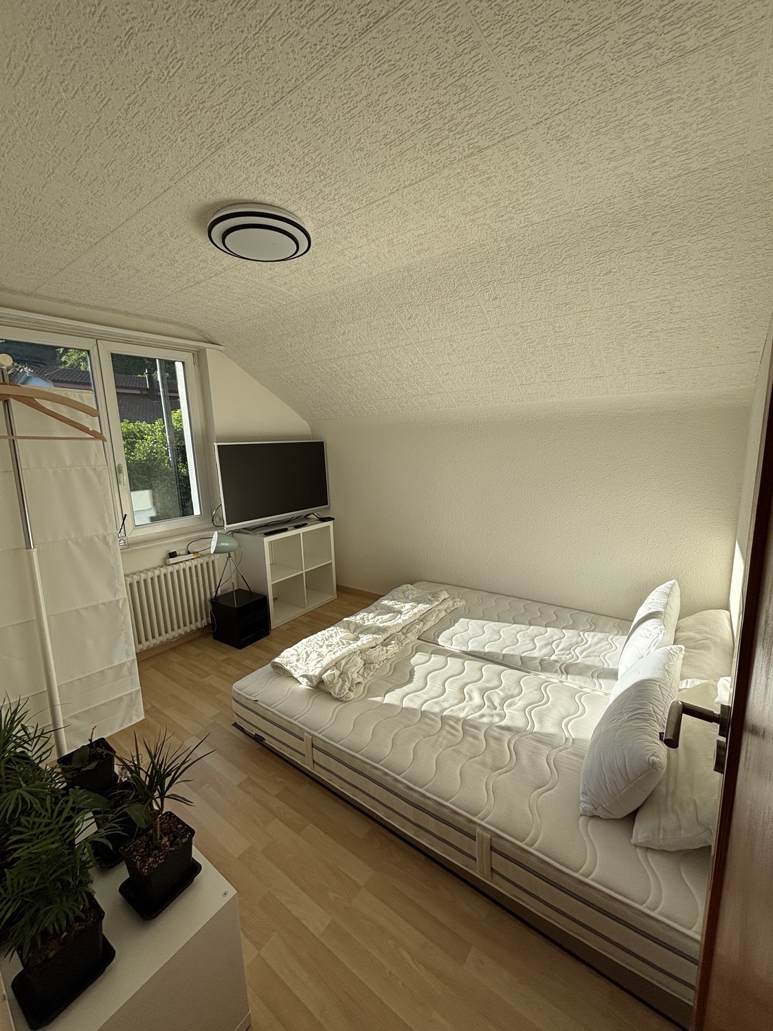 Chambre en colocation