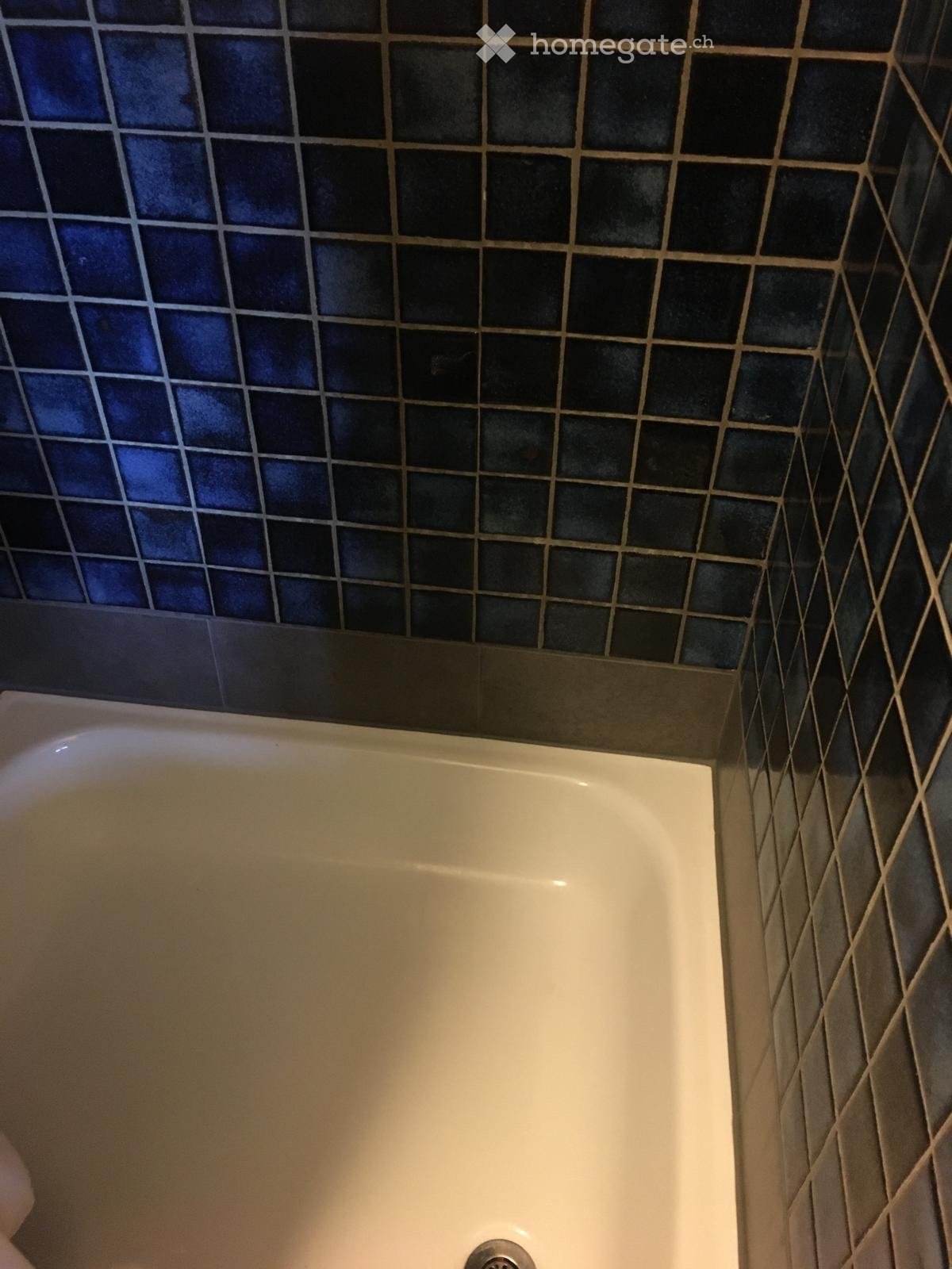 1 room apartment
