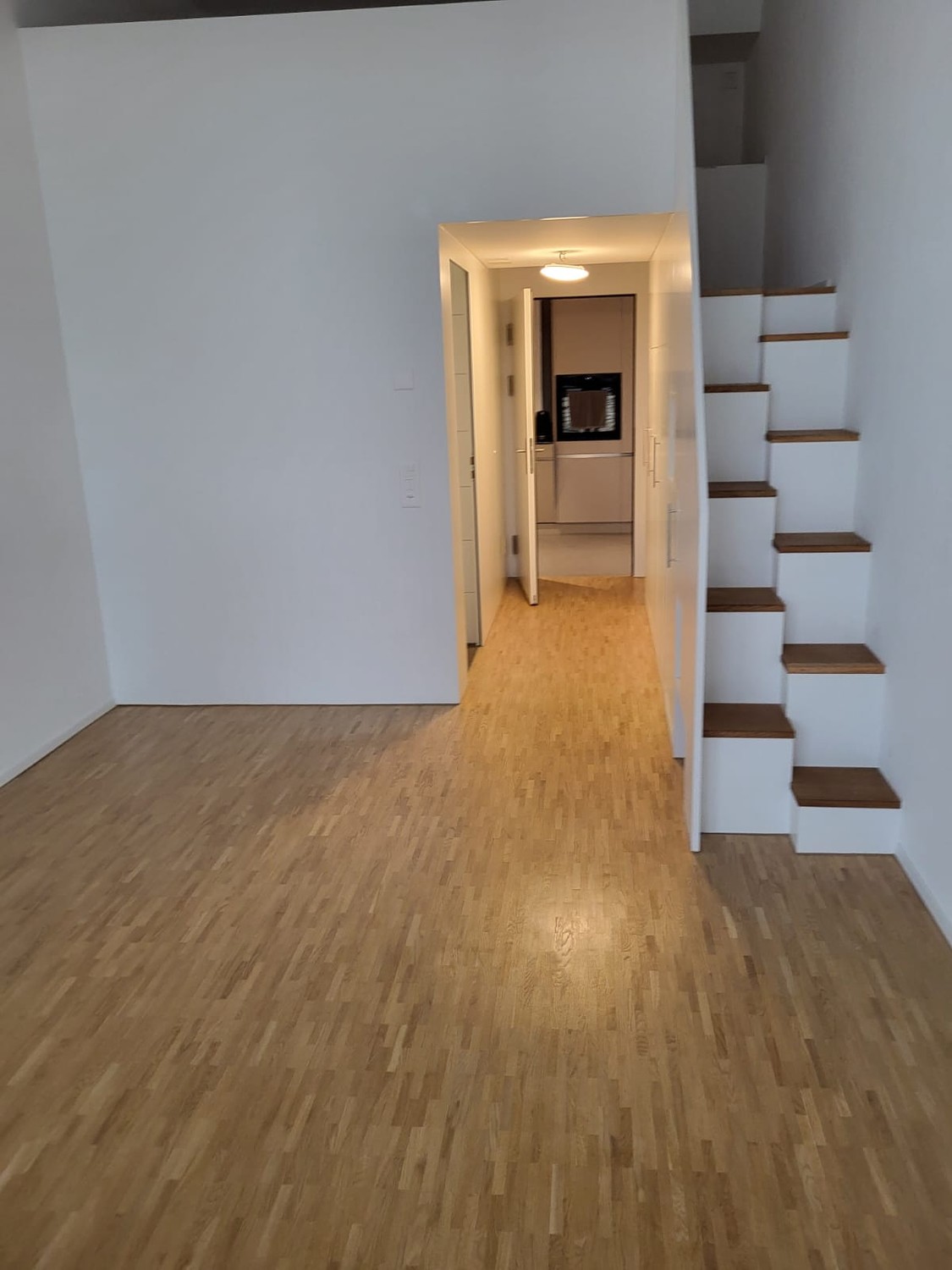 1 room apartment