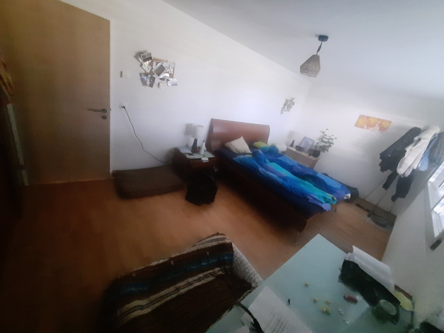 Room in a shared flat