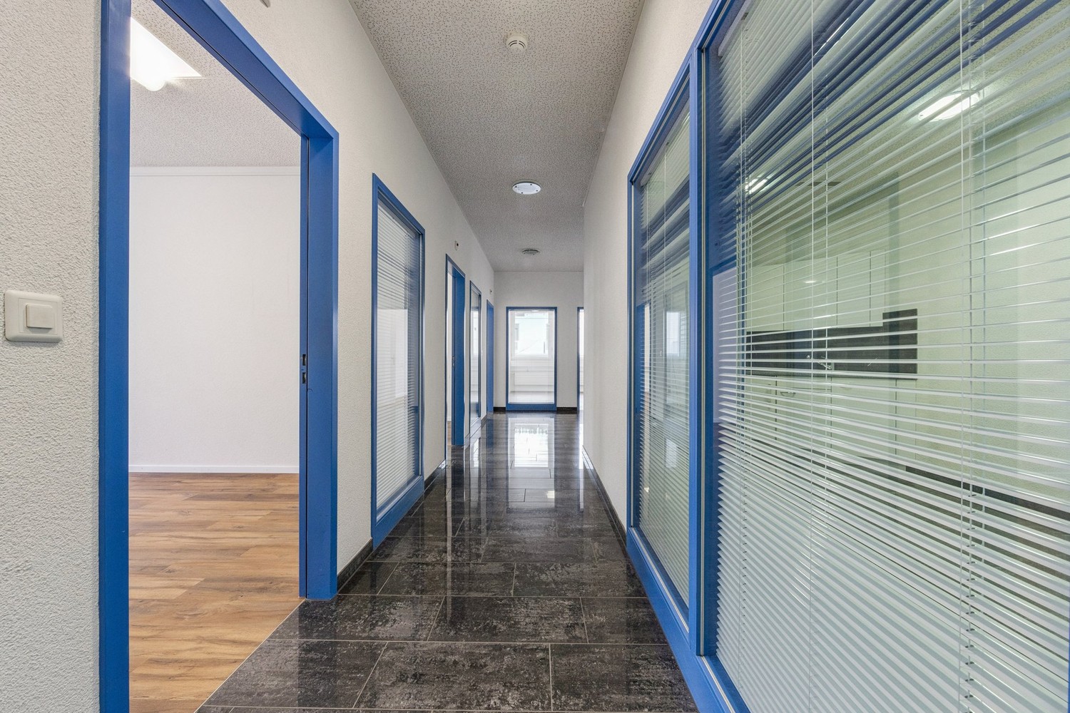 305m² ufficio