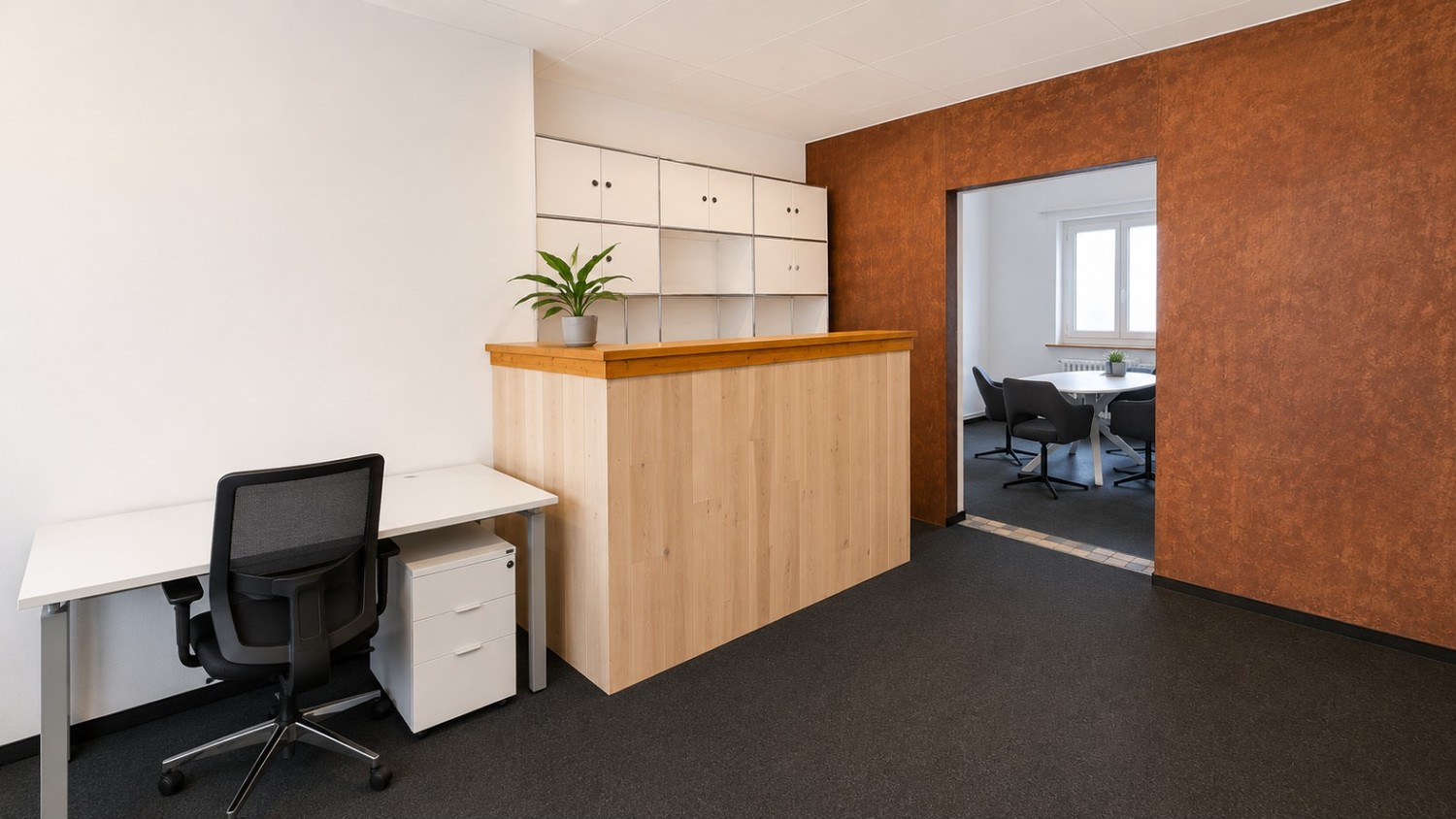 56m² commerciale