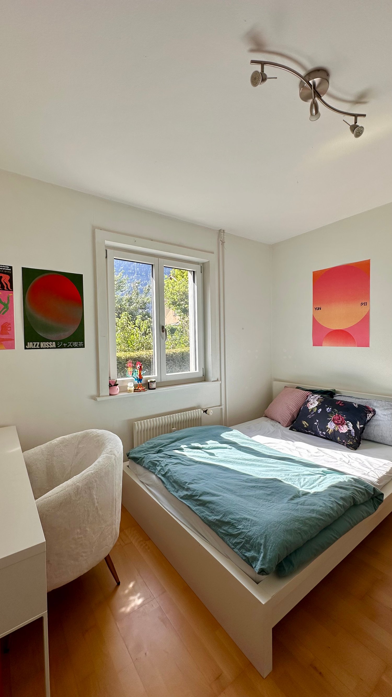 Room in a shared flat