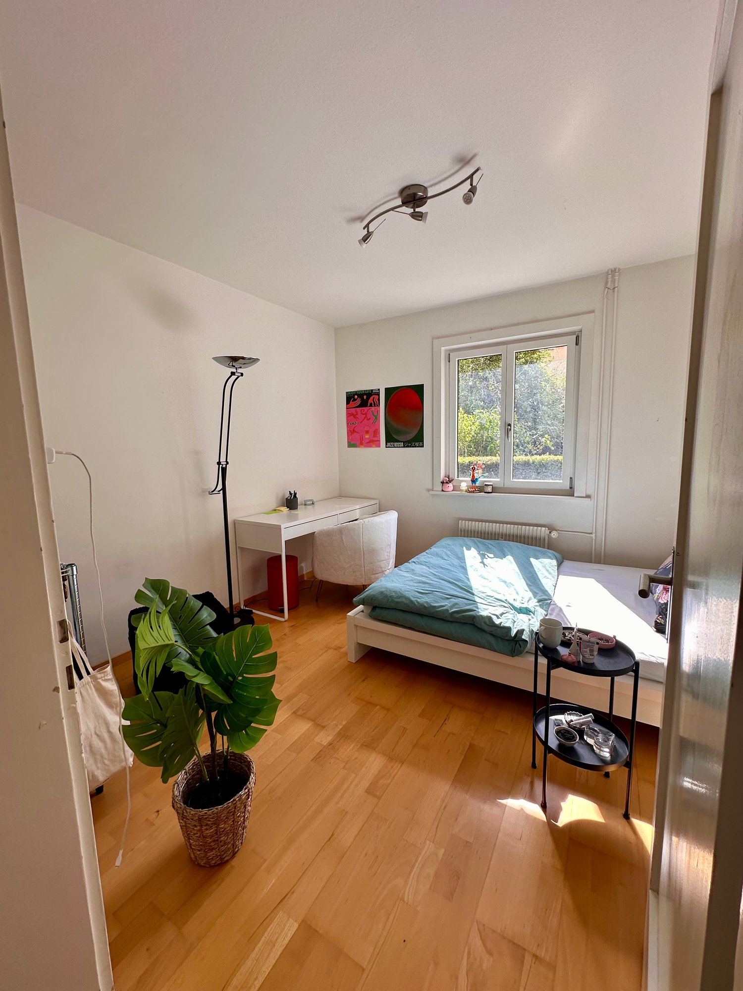 Room in a shared flat