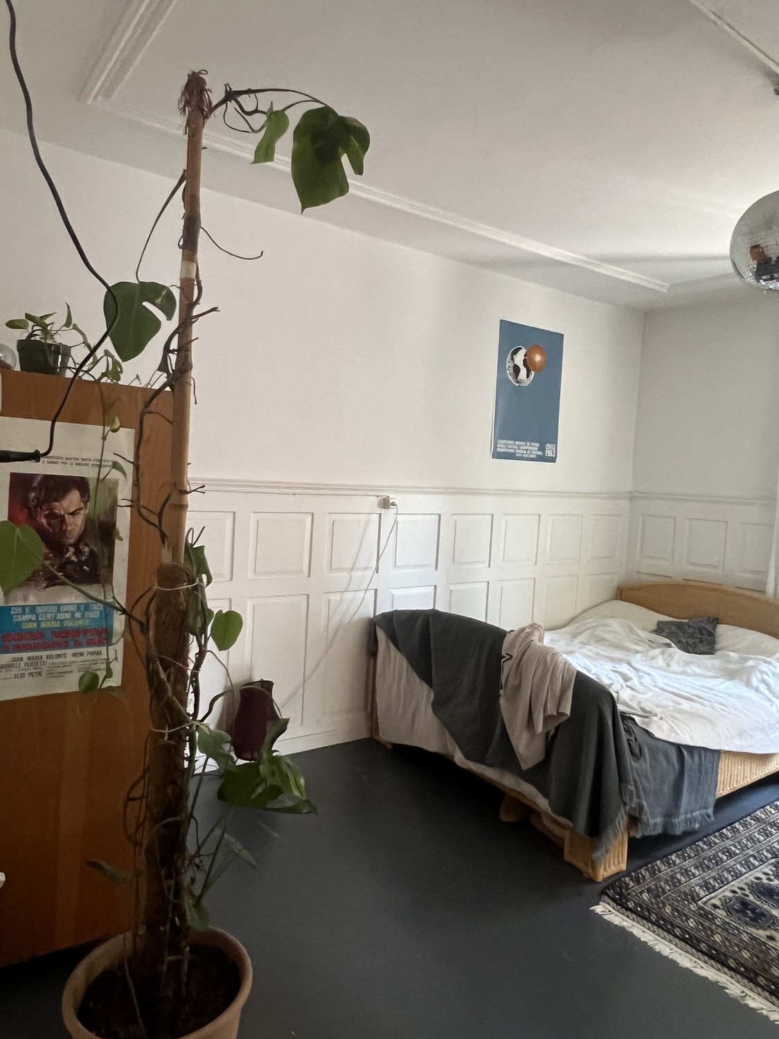 Room in a shared flat