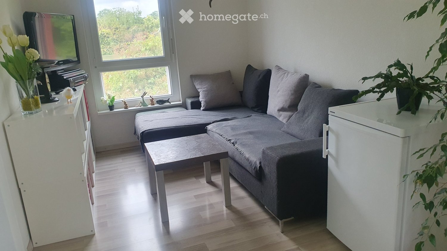 1 room single room
