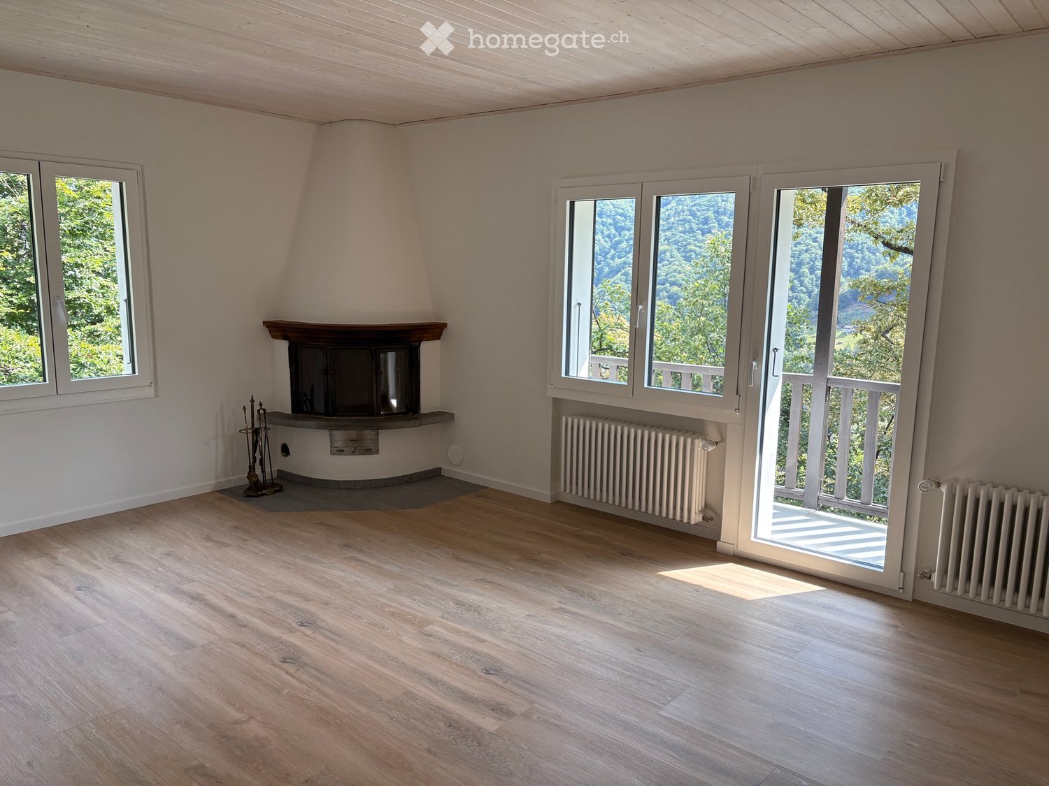 4 ½ rooms apartment