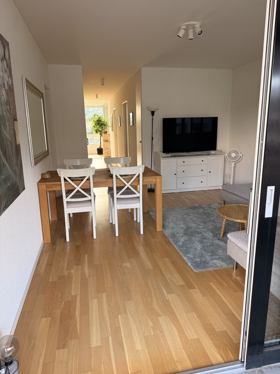 Appartamento di 3 ½ locali