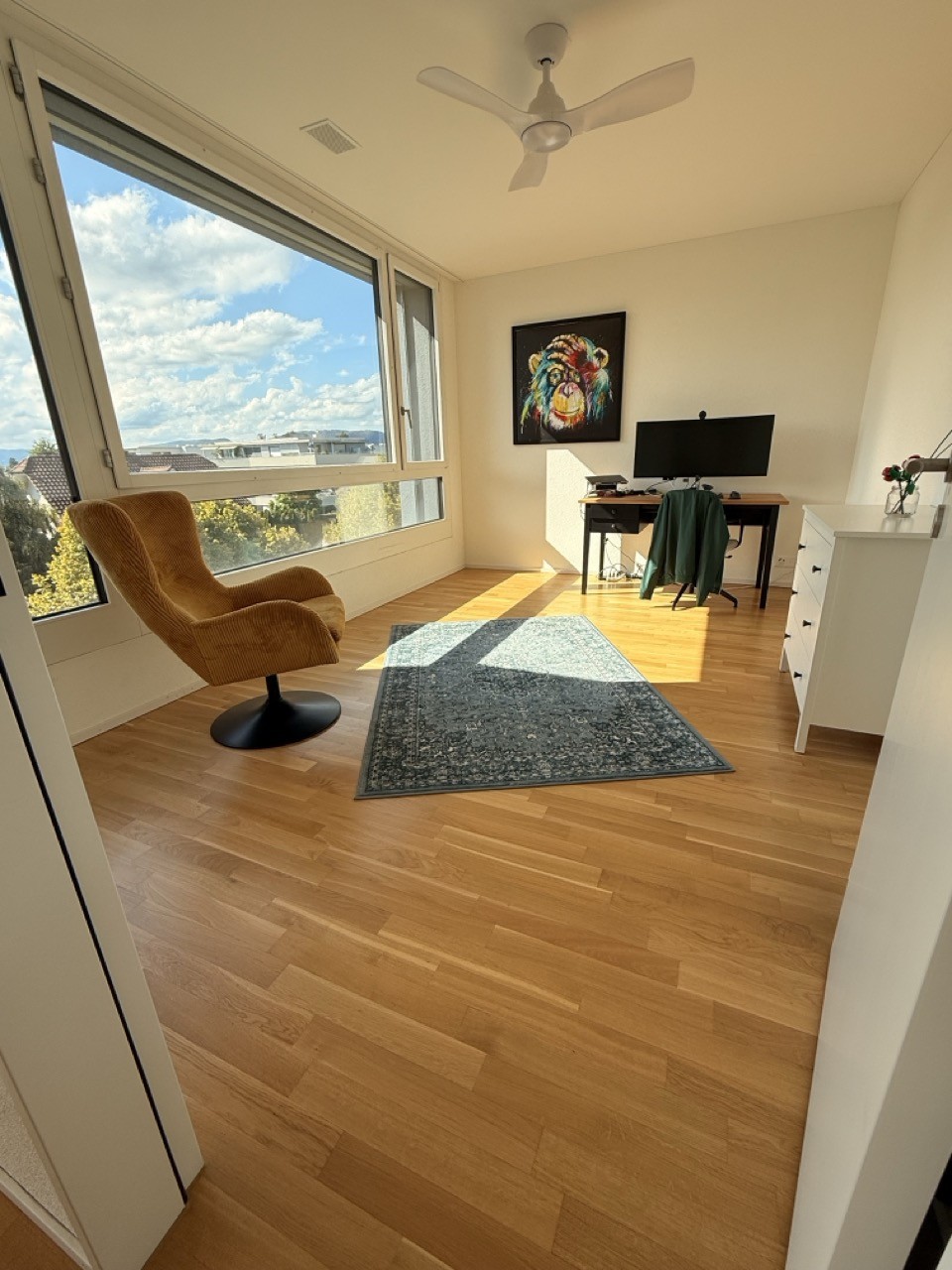 Appartamento di 3 ½ locali