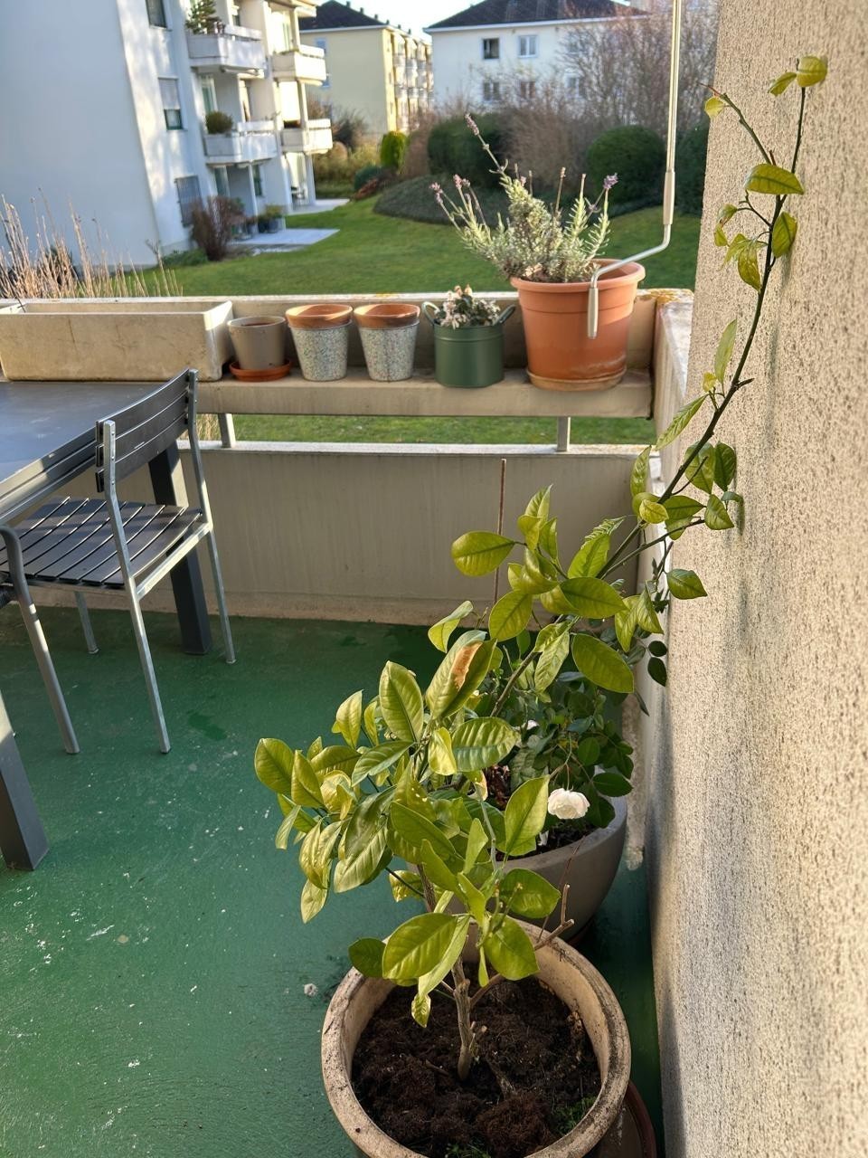 Appartamento di 2 ½ locali