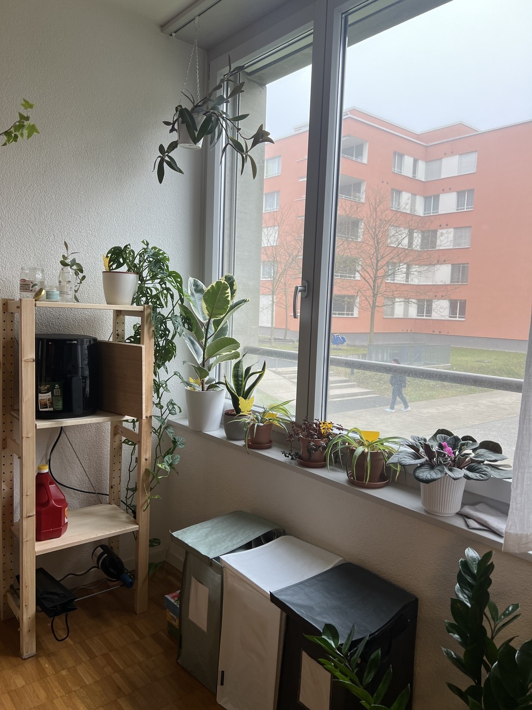 Appartamento di 2 ½ locali