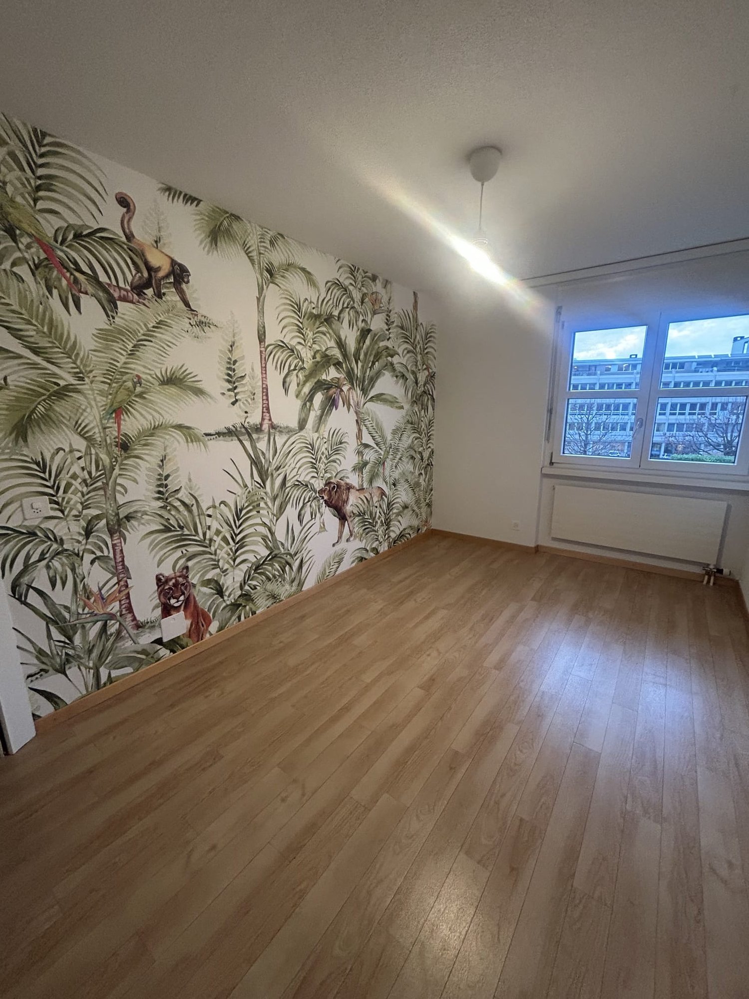 Room in a shared flat