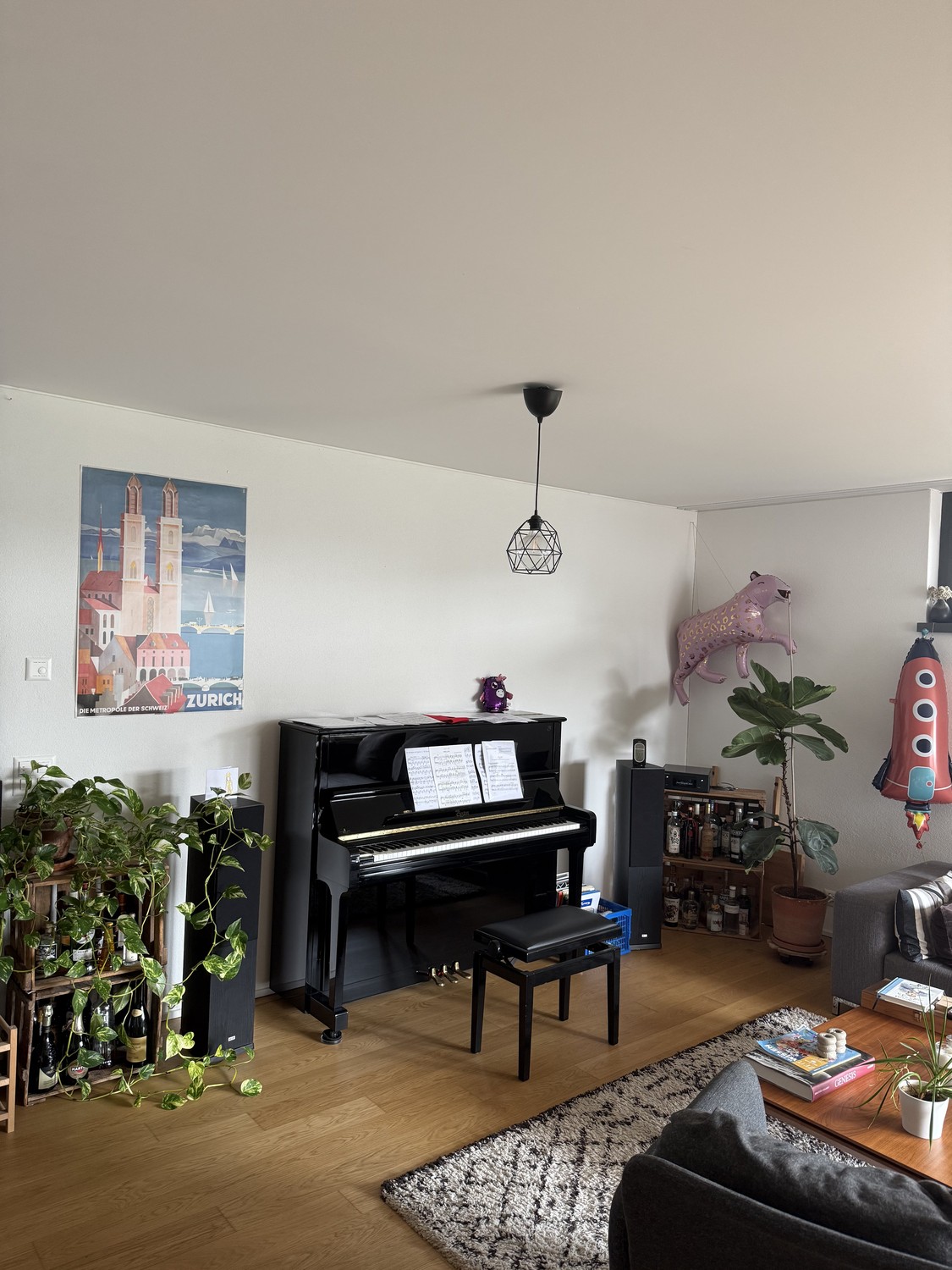 Room in a shared flat