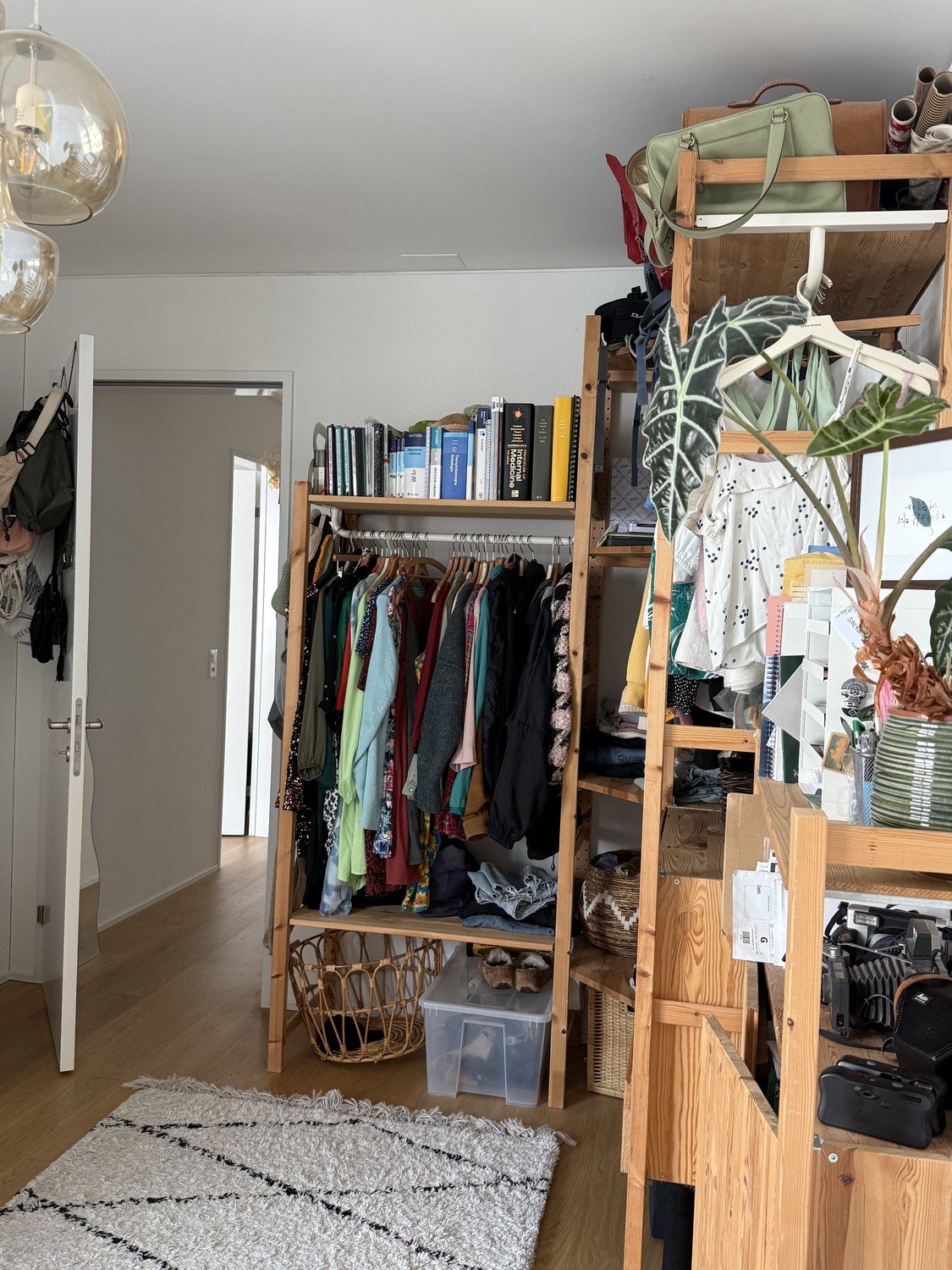 Room in a shared flat