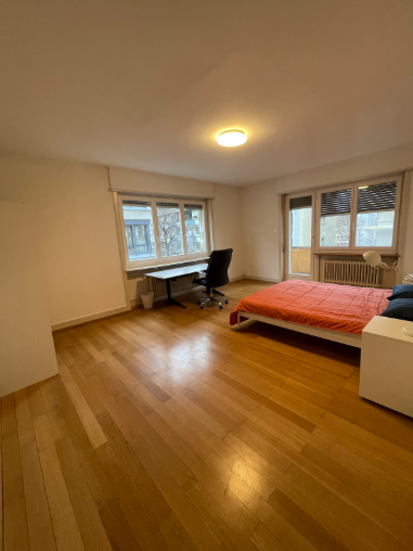 Room in a shared flat