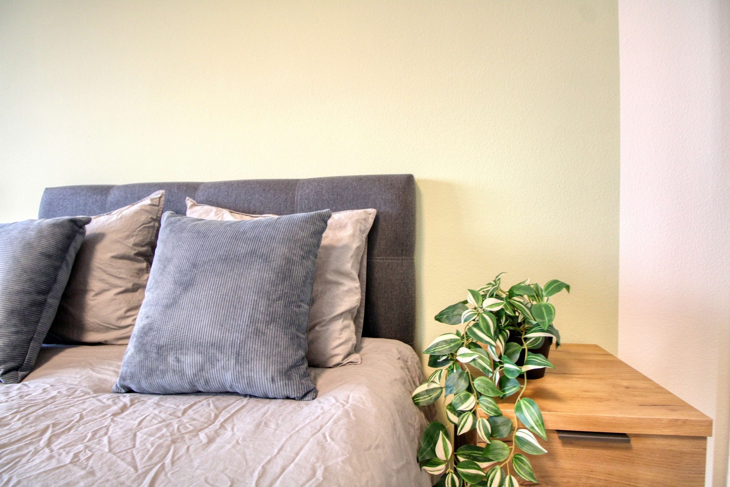 Chambre en colocation