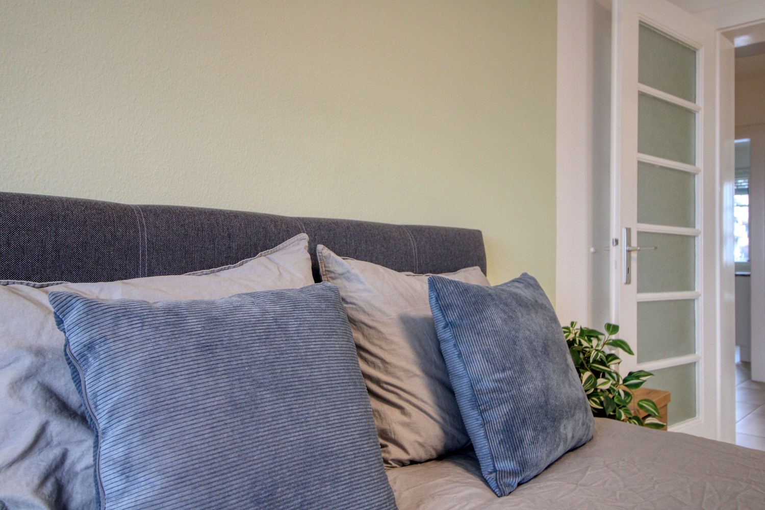 Chambre en colocation