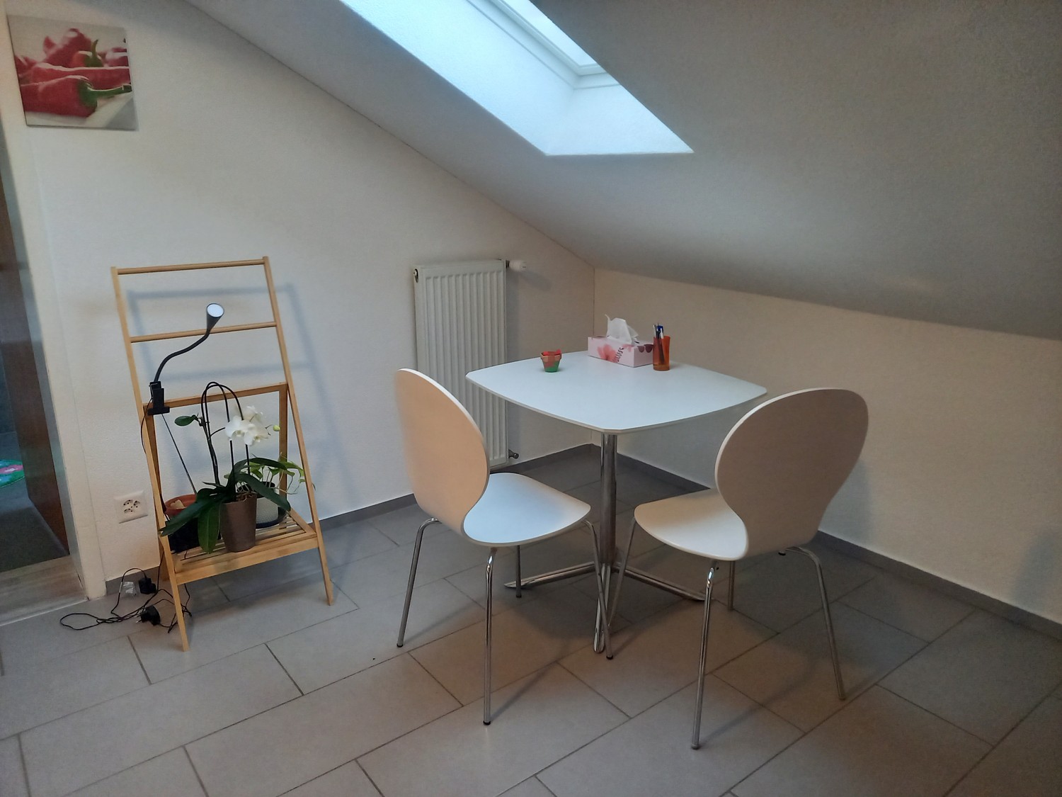 Appartamento di 2 ½ locali