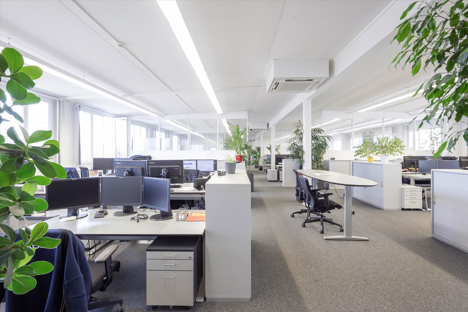 834m² commercial