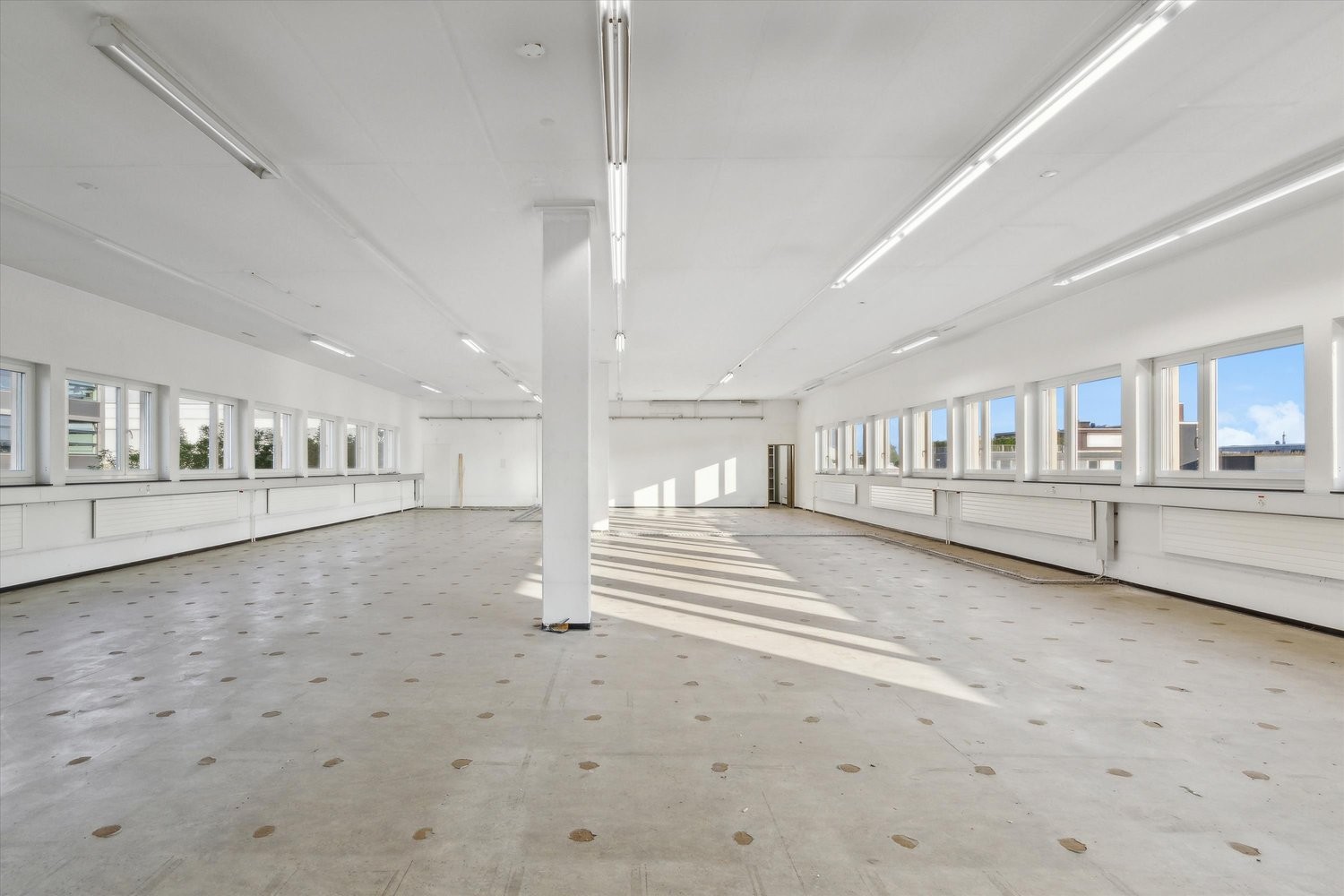 619m² office