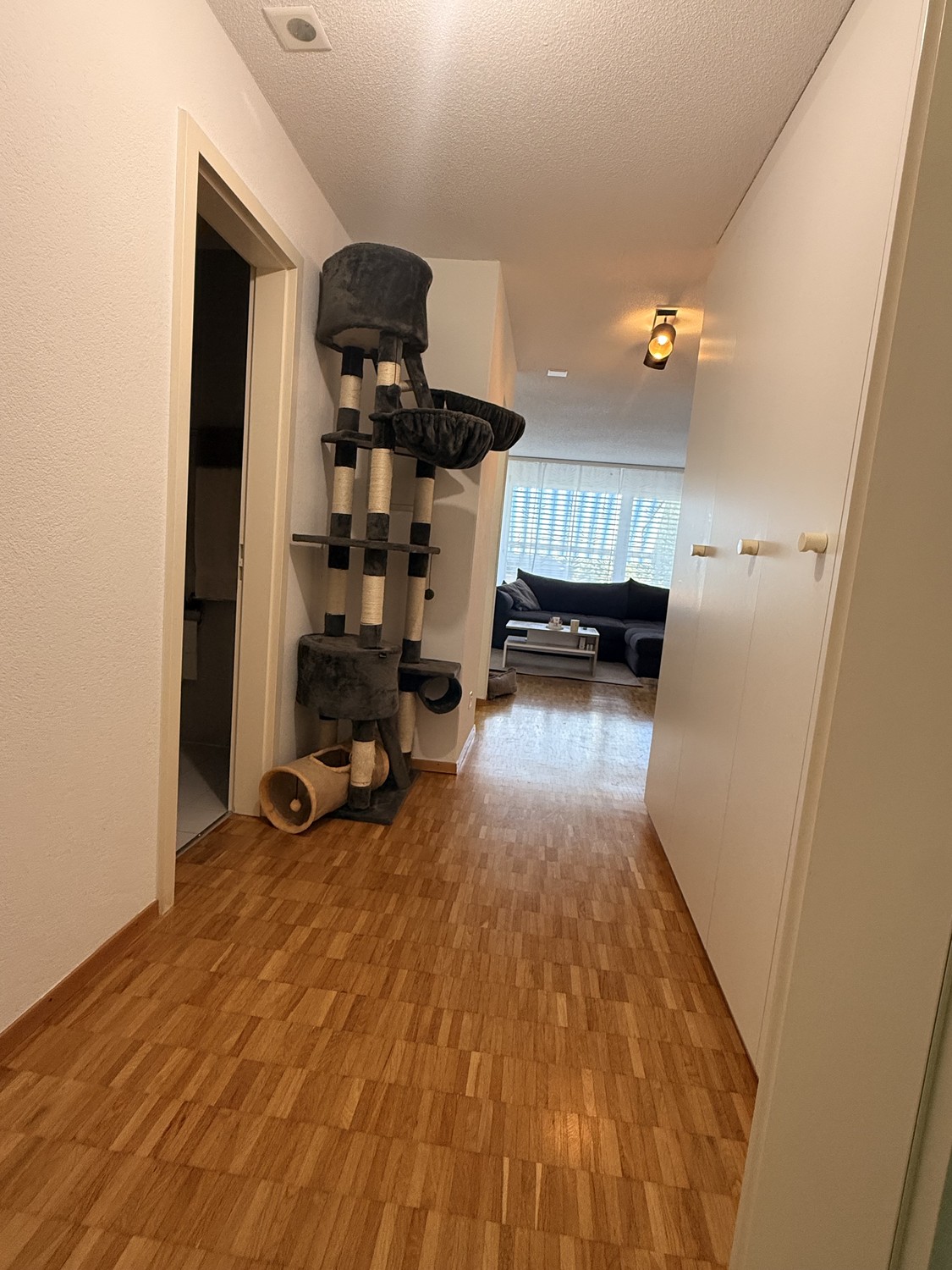 3 rooms apartment