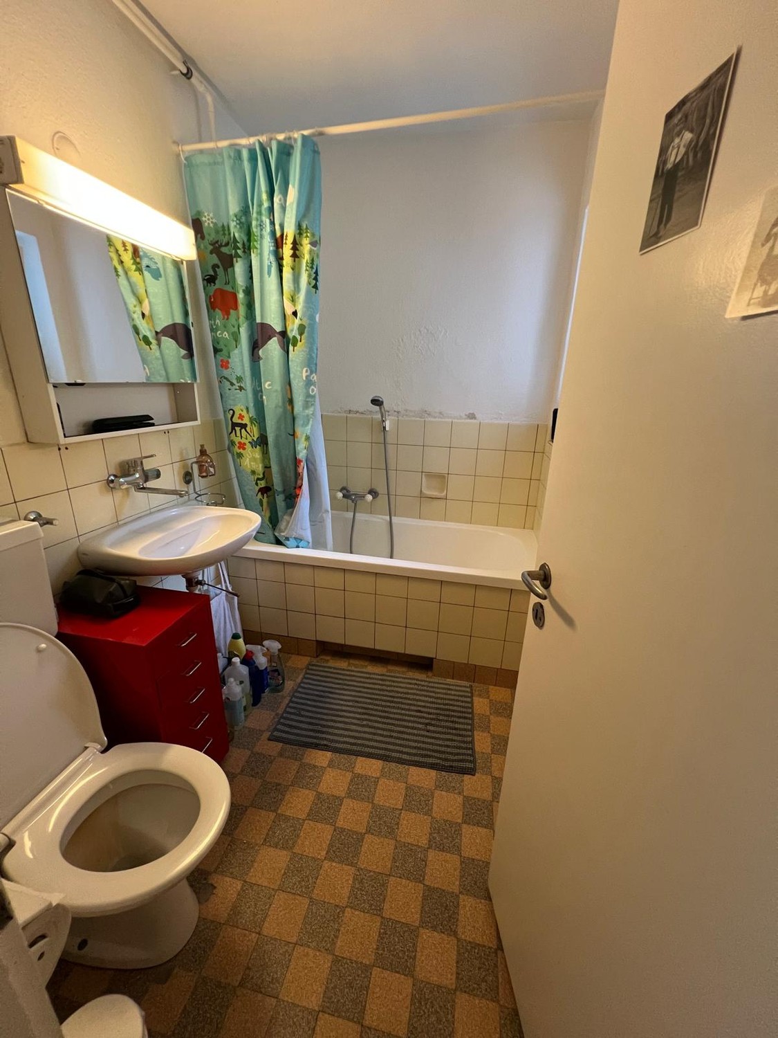 Room in a shared flat