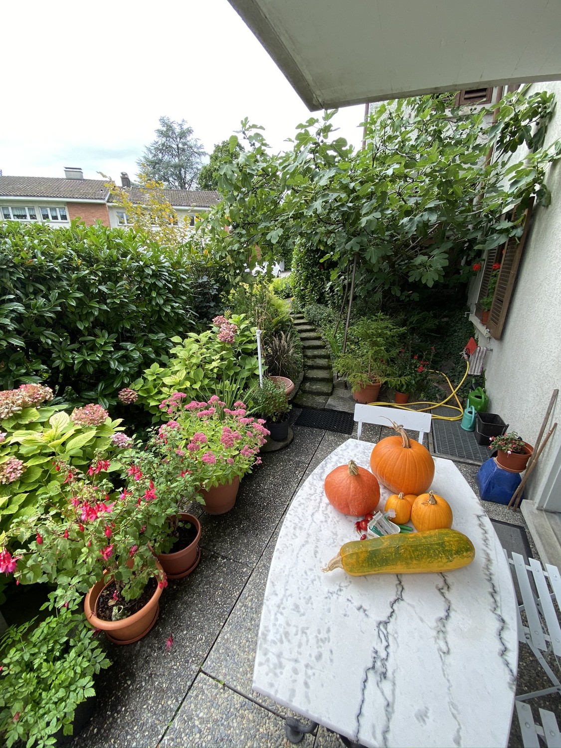 Appartamento di 2 ½ locali