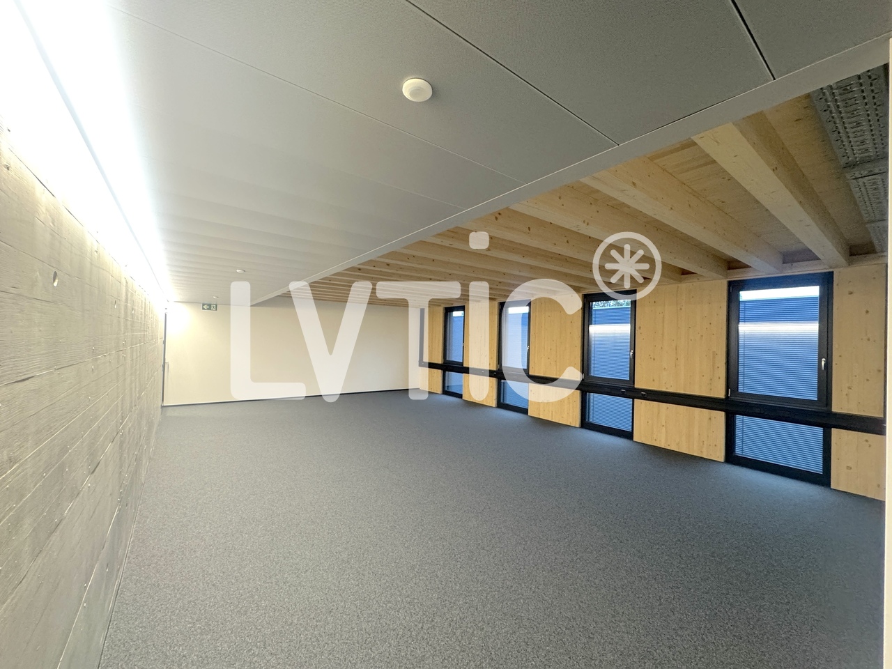245m² ufficio