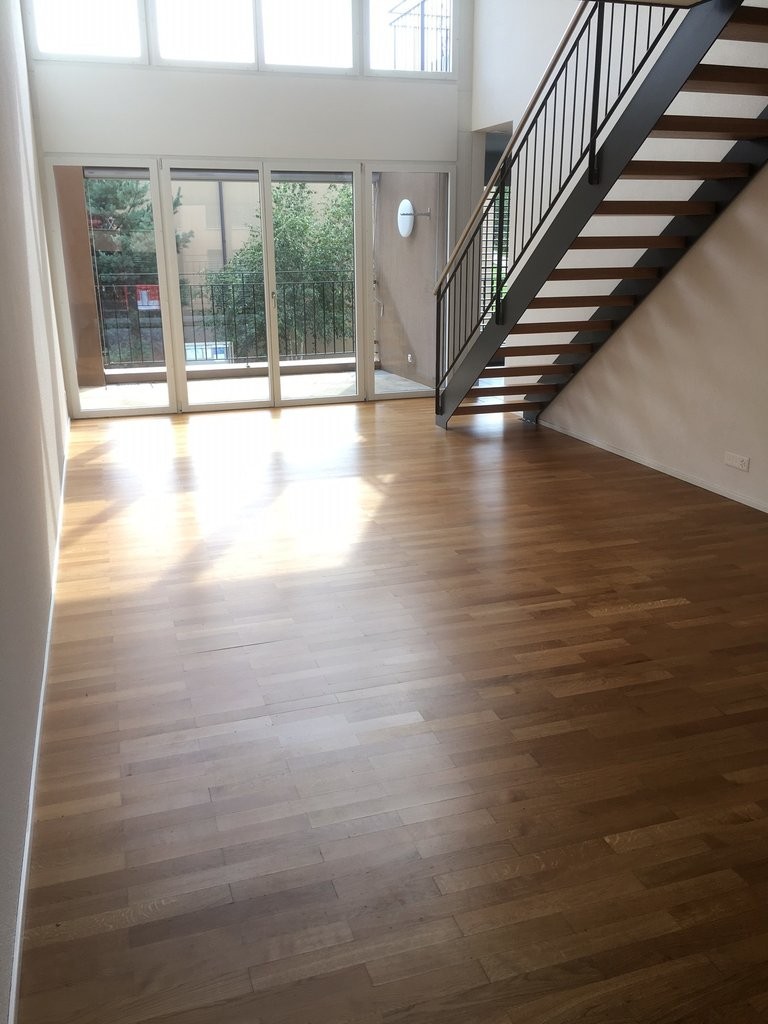 3 ½ rooms duplex