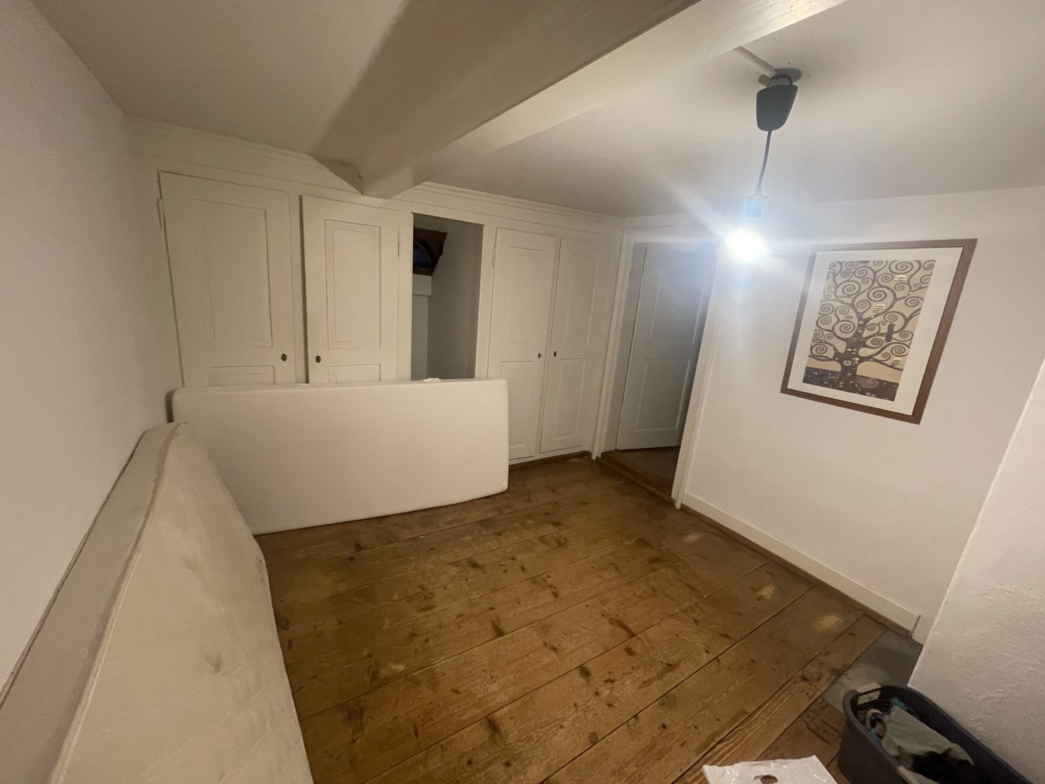 Room in a shared flat