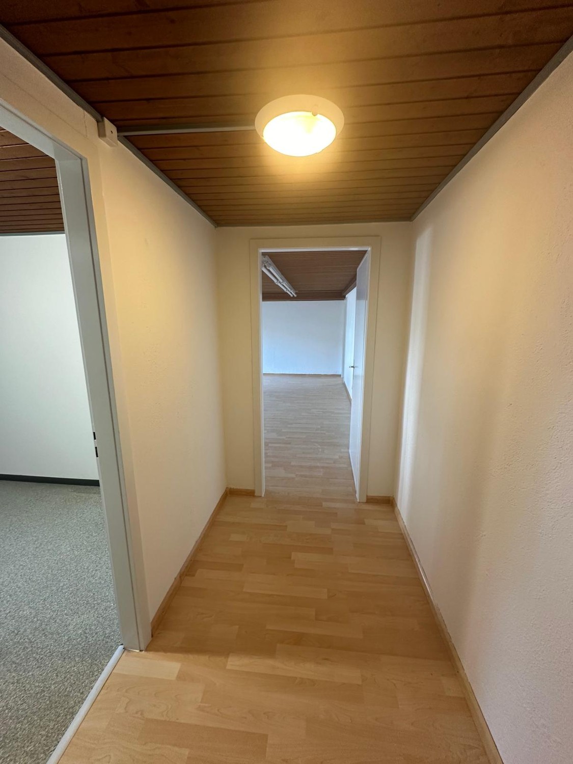 40m² commercial