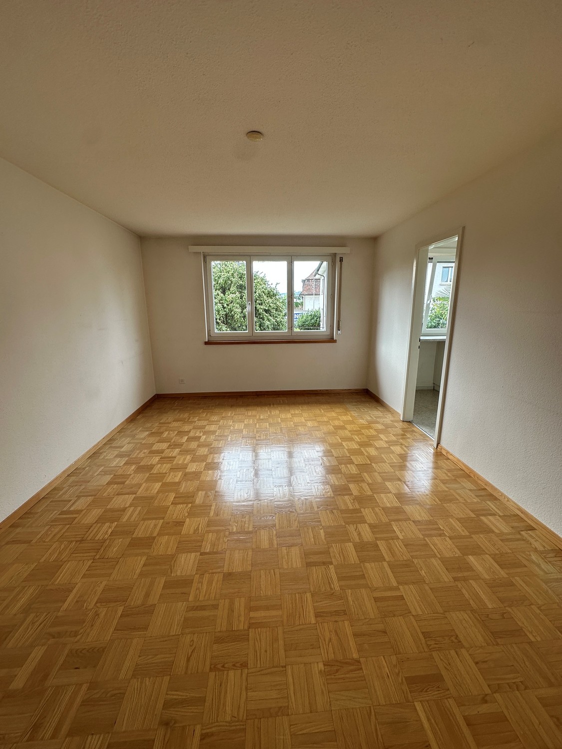 Appartement 1 pièce
